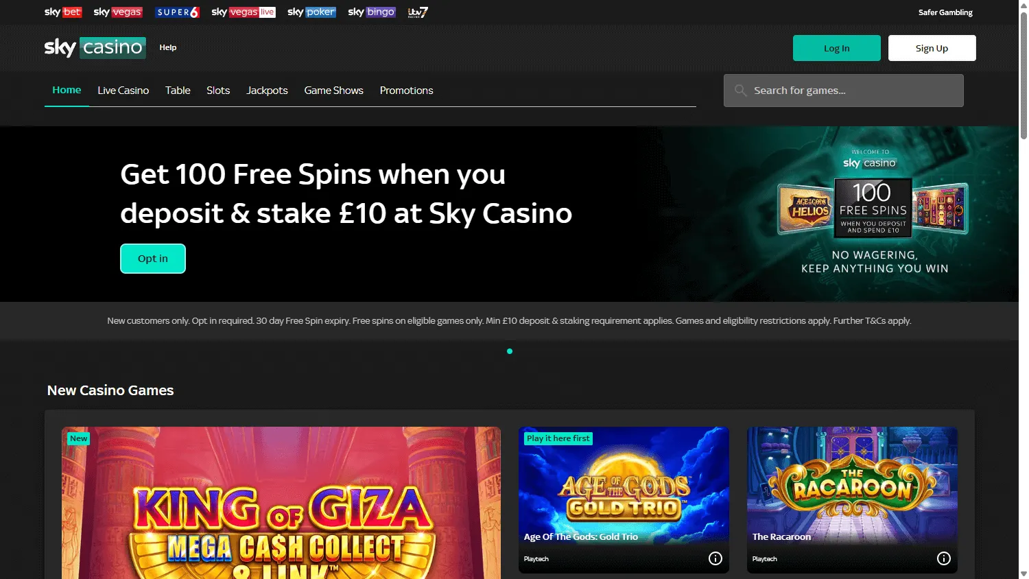 Sky Casino home page on desktop